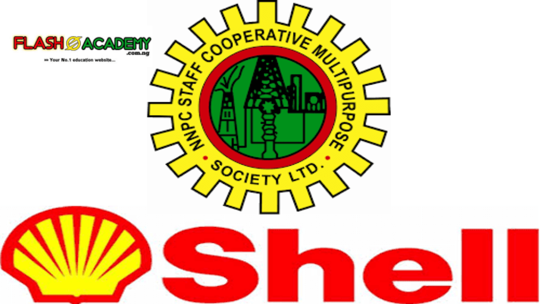 NNPC/SNEPCo National University Scholarship