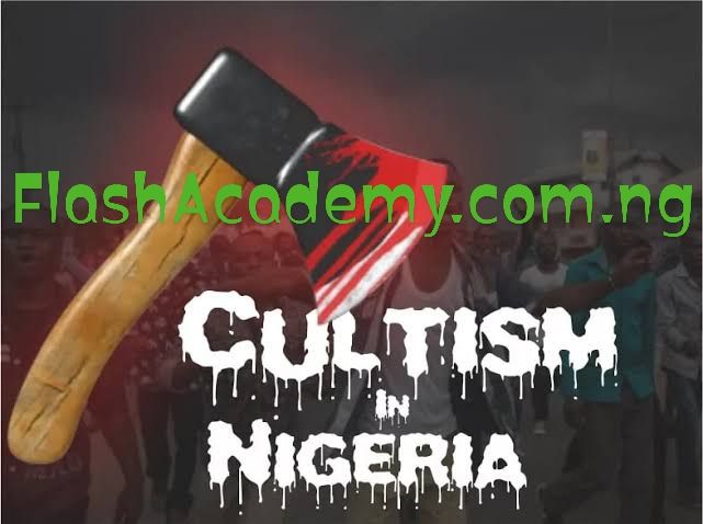 Cultism In Nigeria : Causes, Effects And Solutions To Cultism