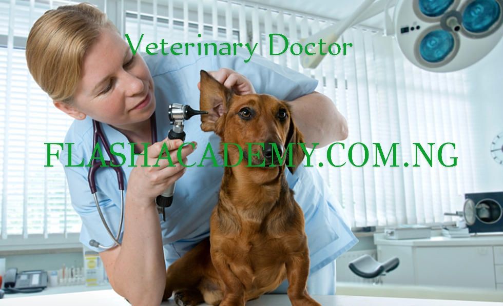 Veterinary Medicine