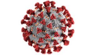 CoronaVirus-structure