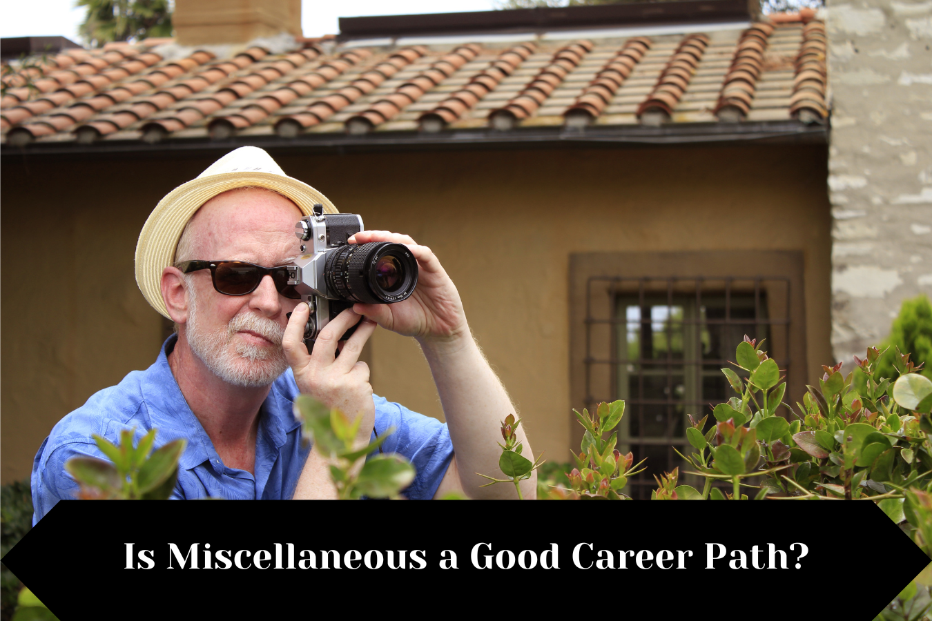 Is Miscellaneous a Good Career Path